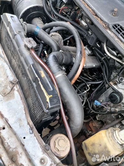 Валдай в разбор