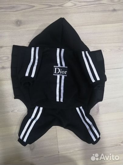 Одежда для собак