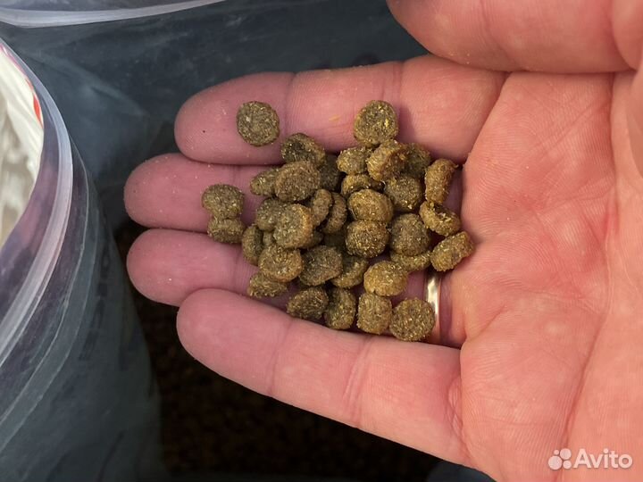 Сухой корм для собак 1st choice