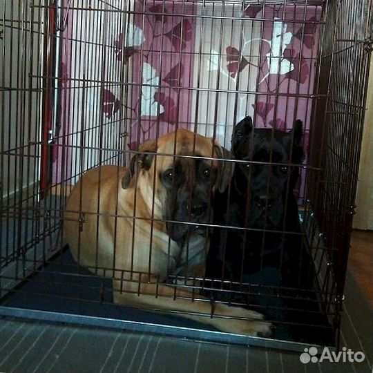 Клетка для собак