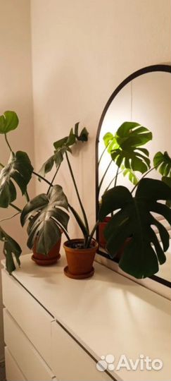 Зеркало капсула, 140х50 см