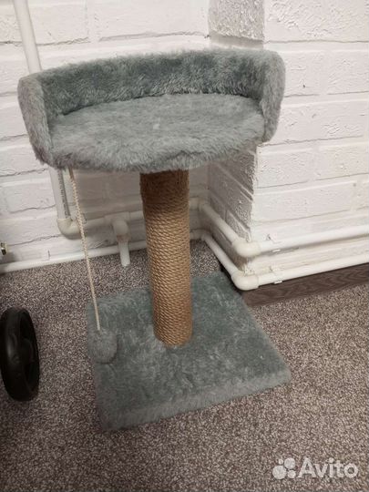 Когтеточка