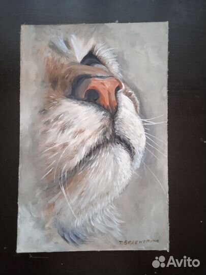 Картины маслом котики 