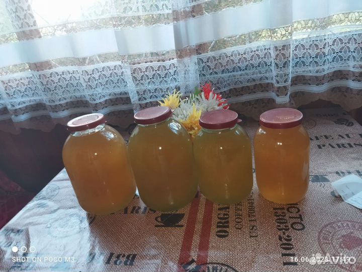 Майский Мёд 2023. акация рапс