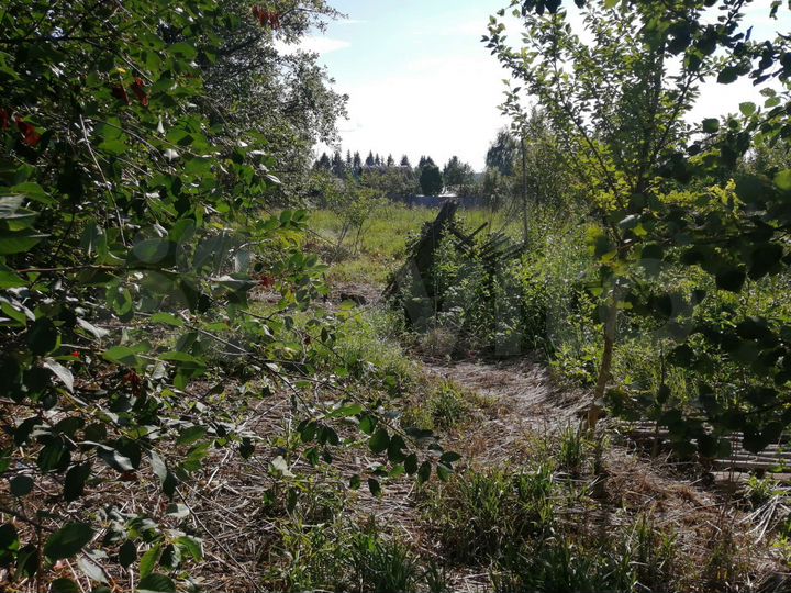 Дом 24,5 м² на участке 10 сот.