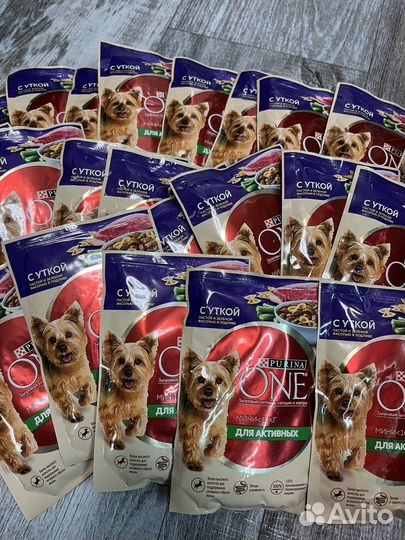 Корм для собак