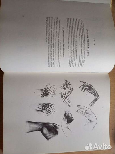 Книга Анатомия для художника Ене Барчаи