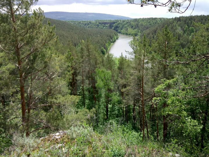 Участок 1,79 га (ИЖС)