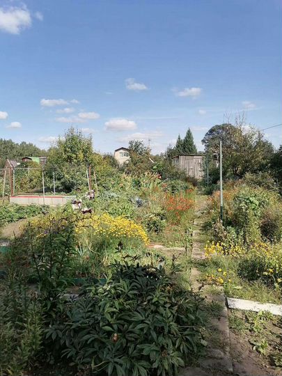 Дача 30 м² на участке 10 сот.