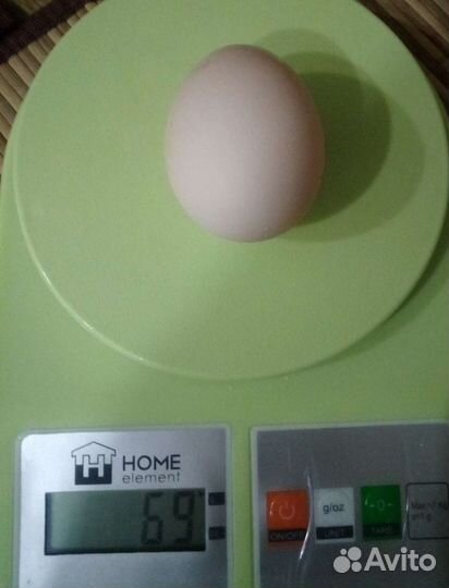 Яйца куриные, цессариные