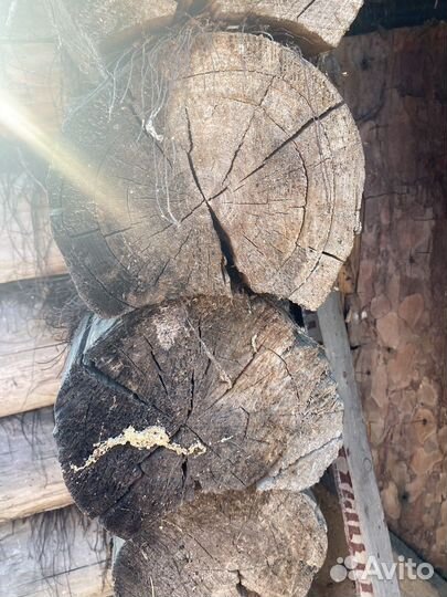 Сруб для бани 3х5