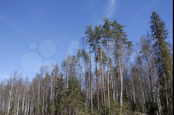 Участок 5,7 га (СНТ, ДНП)