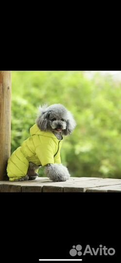 Тёплый комбинзон для собак и кошек