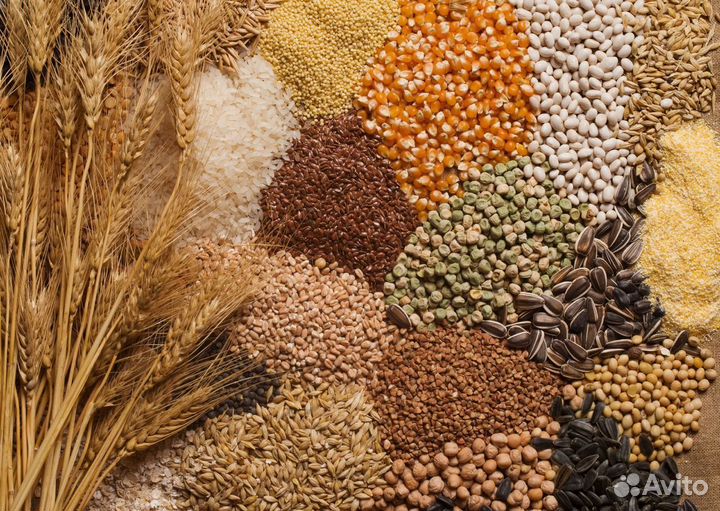 Комбикорм,зерно