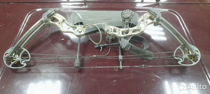 Спортивная стрельба