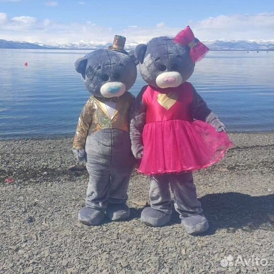 Аниматор мишка