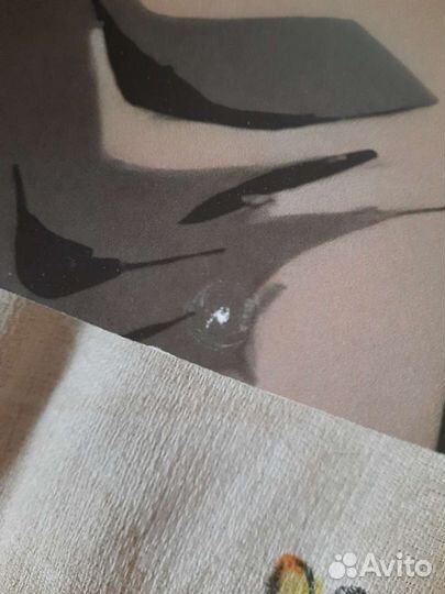 Постер Манускрипт Ниндзя