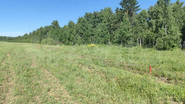 Участок 19 сот. (ИЖС)