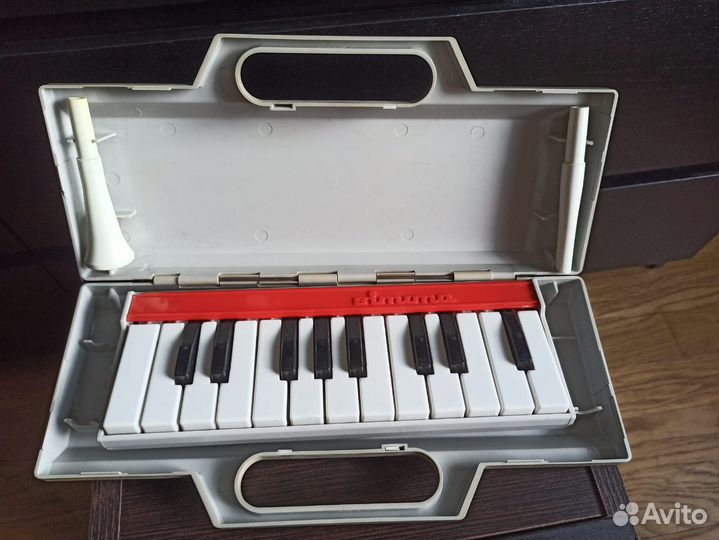 Клавишно-духовой муз инструмент Expovita Simona