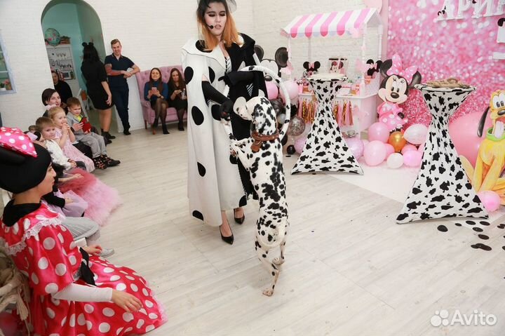 Аниматор на день рождения, шоу, мастер-класс