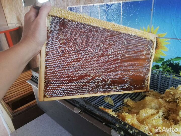 Мед с собственной пасеки