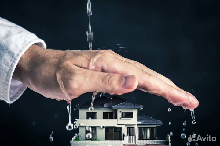 Юрист по заливам / затоплениям