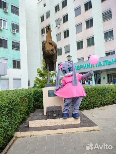 Мишка Тедди, Белый Мишка, Чебур поздравление