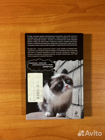 Grumpy Cat. Правила самой сердитой кошки в мире