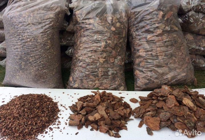 Сосновая кора