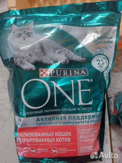 Корм для кастрированных котов