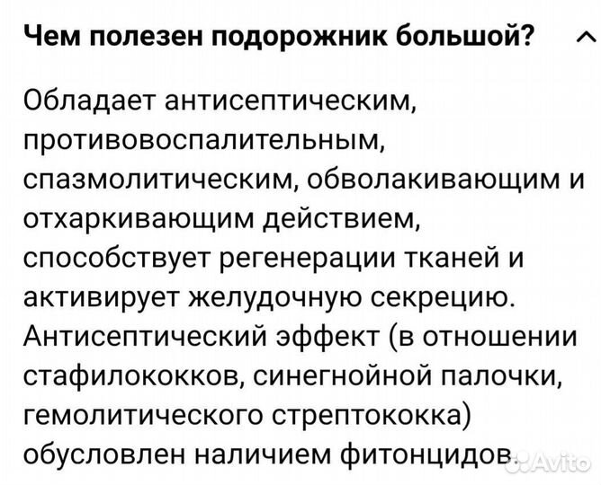 Подорожник сушёный,зелень