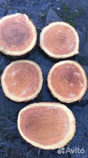 Торцевые спилы акация красная