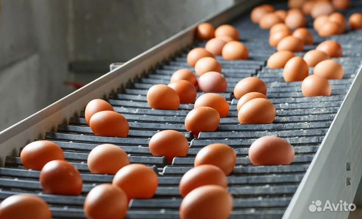 Разнорабочий с ежедневной оплатой