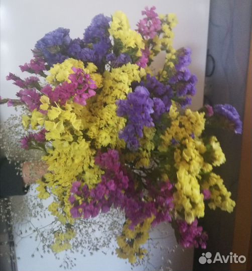 Цветы, букеты, из сухоцветов, хорошего качества