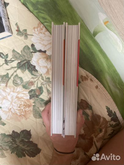 Паола Волкова мост через бездну