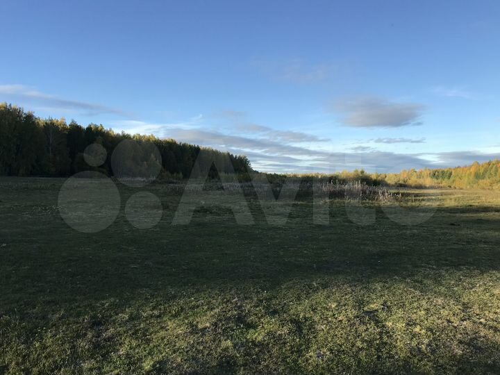 Участок 53 га (ИЖС)