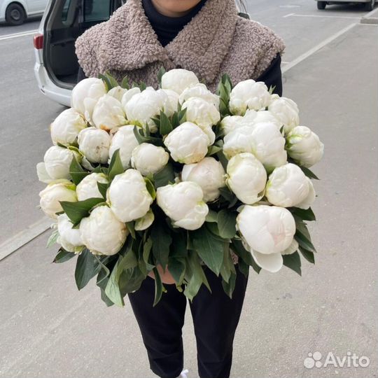 Пионы Букет пионов