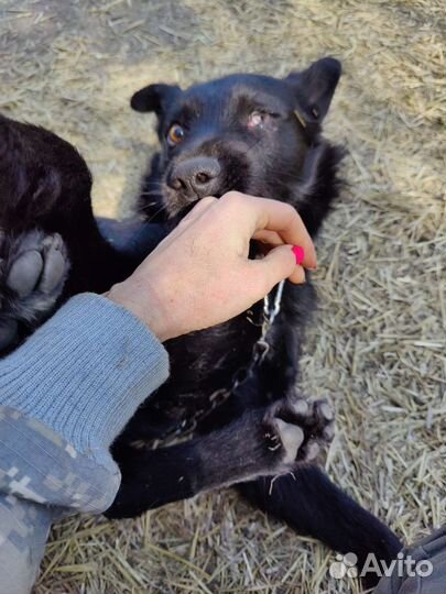 Подросток Кеша 1,5 года