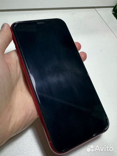 iPhone Xr, 128 ГБ