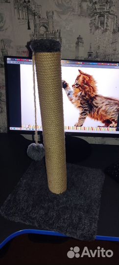 Когтеточка для котов и кошек