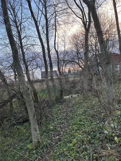 Участок 25 сот. (ИЖС)