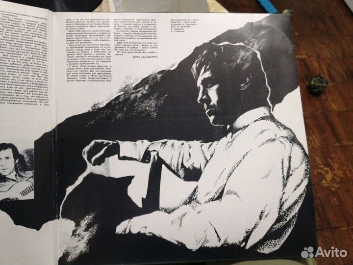 Владимир высоцкий пластинки