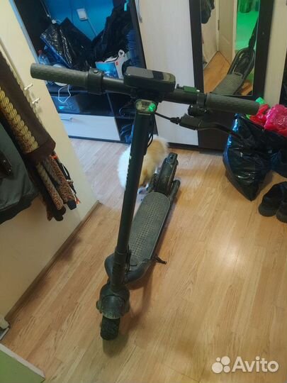 Электросамокат Xiaomi Navee N65