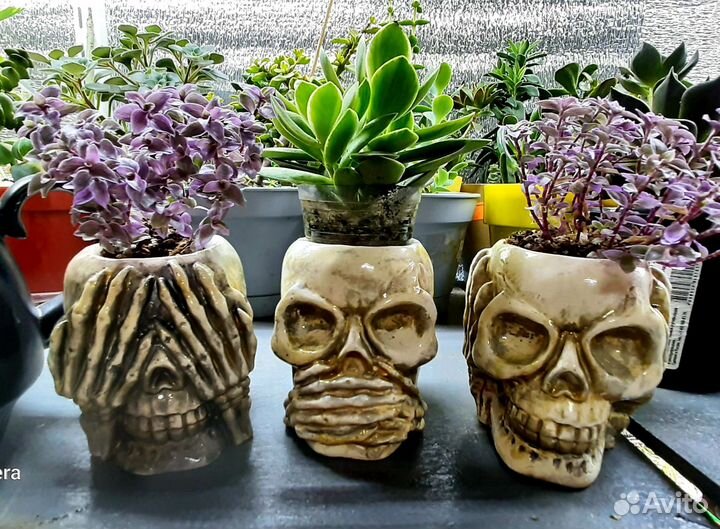 Кашпо,подарок,цветы