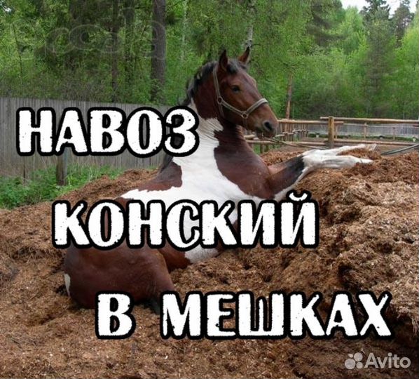Навоз в Мешках