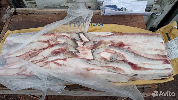 Горбуша Н/р с/м