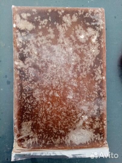 Циклоп красный, собственная добыча