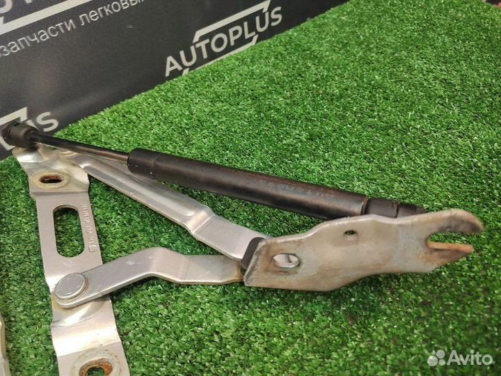 Петля капота Seat Cordoba 1 1.4 APE 2001