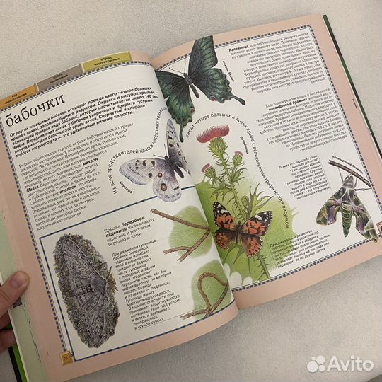 Большая энциклопедия животного мира