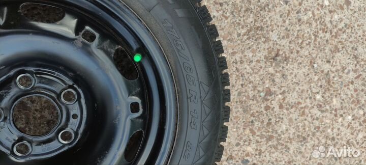 Pirelli Winter Carving Edge 175/65 R14